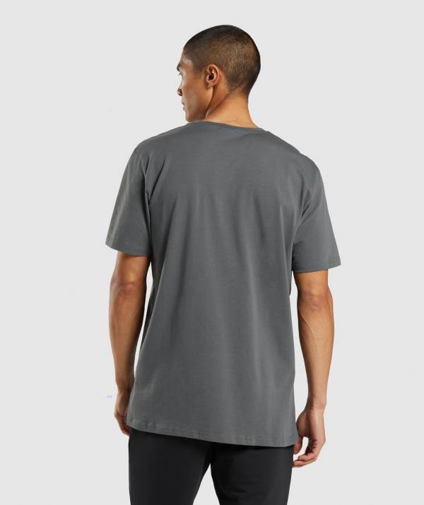 Panske Tricka Gymshark Sharkhead Infill Tmavo Siva | CA3685201